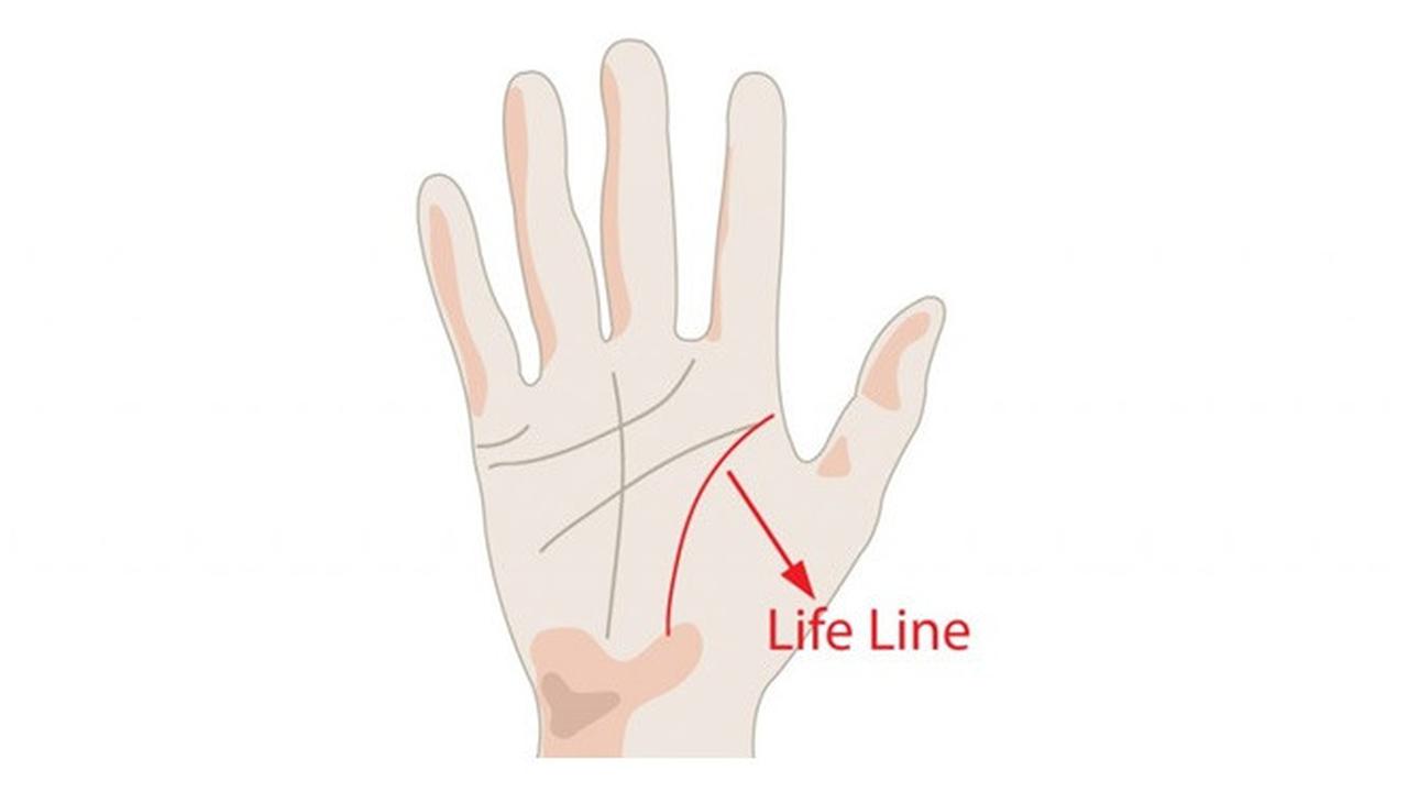 Cara Membaca Garis Tangan dan Artinya | Ketahui Nasib dan Karakter!