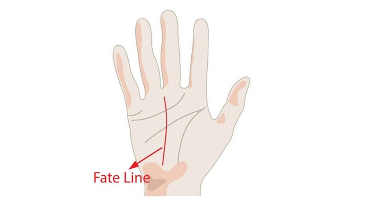 Cara Membaca Garis Tangan dan Artinya | Ketahui Nasib dan Karakter!