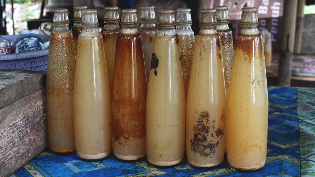 minuman alkohol khas Indonesia tuak