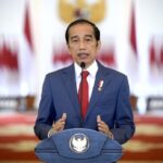 reshuffle kabinet 2022 - presiden jokowi