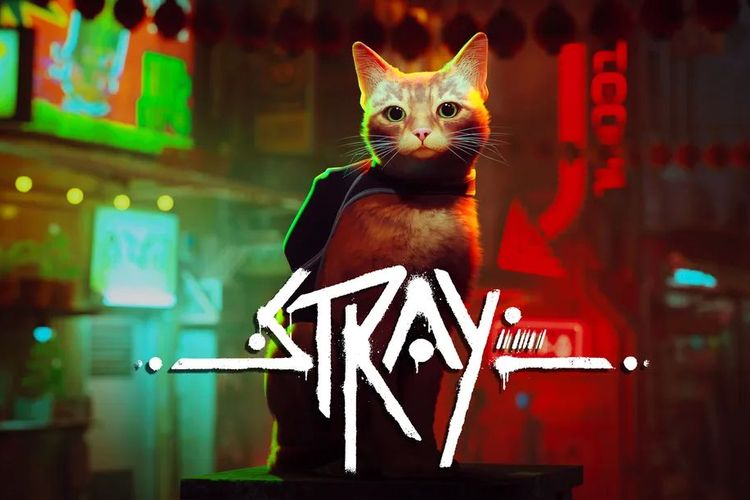 game-kucing-stray