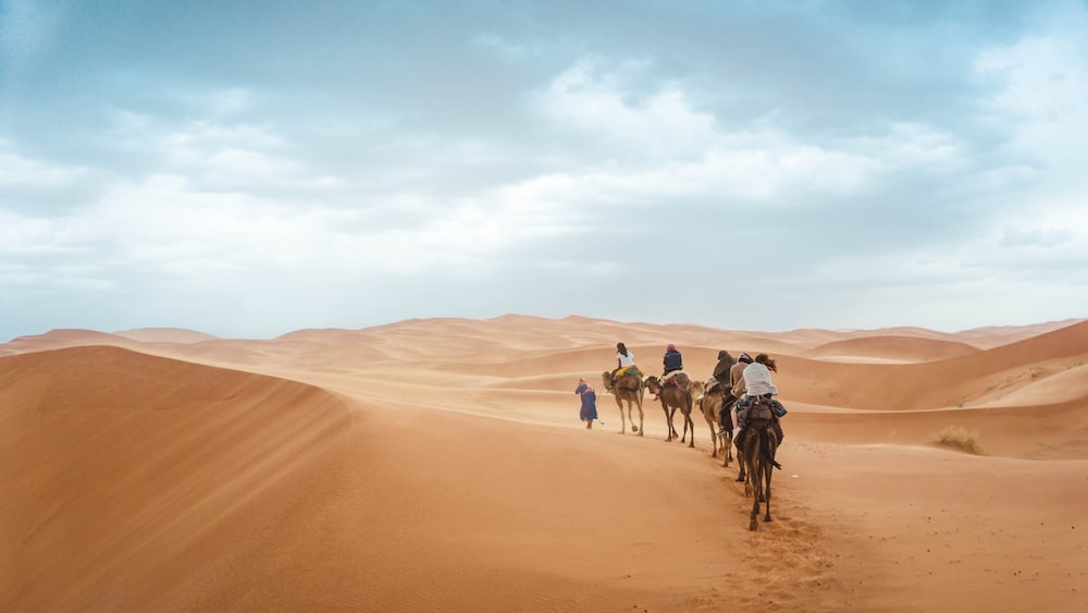 Mengenal The Greatest Desert, Ada Apa di Gurun Sahara?