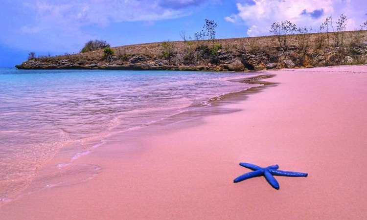 4 Alasan Harus Liburan ke Pink Beach Lombok, Temukan Rekomendasi Paket Wisata di Sini!