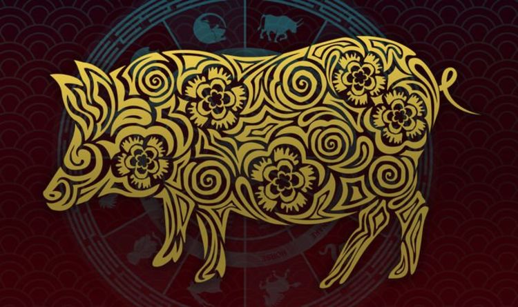 Jadi Simbol Kekayaan, Ini Ramalan Lengkap Shio Babi untuk Tahun 2023