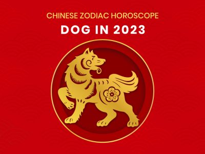 Ramalan Shio Anjing di Tahun 2023, Siap Dihujani Banyak Keberuntungan
