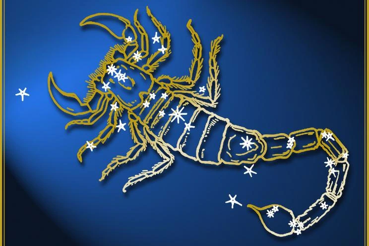 Ramalan Zodiak Scorpio Minggu Ini 1- 7 Juni 2023 | Ada Peluang Karier yang Menarik!