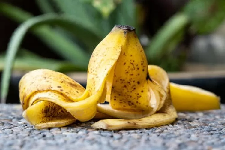 7 Manfaat Kulit Pisang untuk Kesehatan yang Bisa Kamu Dapatkan | Lengkap dengan Cara Mengolahnya