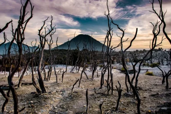 7 Rekomendasi Gunung di Jawa Barat untuk Pendaki