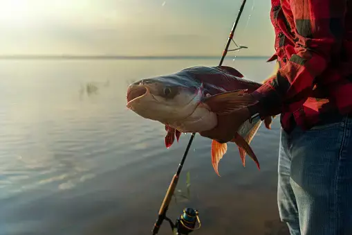 5 Arti Mimpi Menangkap Ikan, Pertanda Hal Baik?