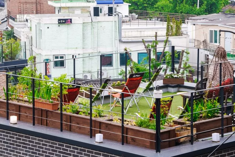 7 Ide Desain Teras Rooftop Rumah Kecil, Minimalis Modern!