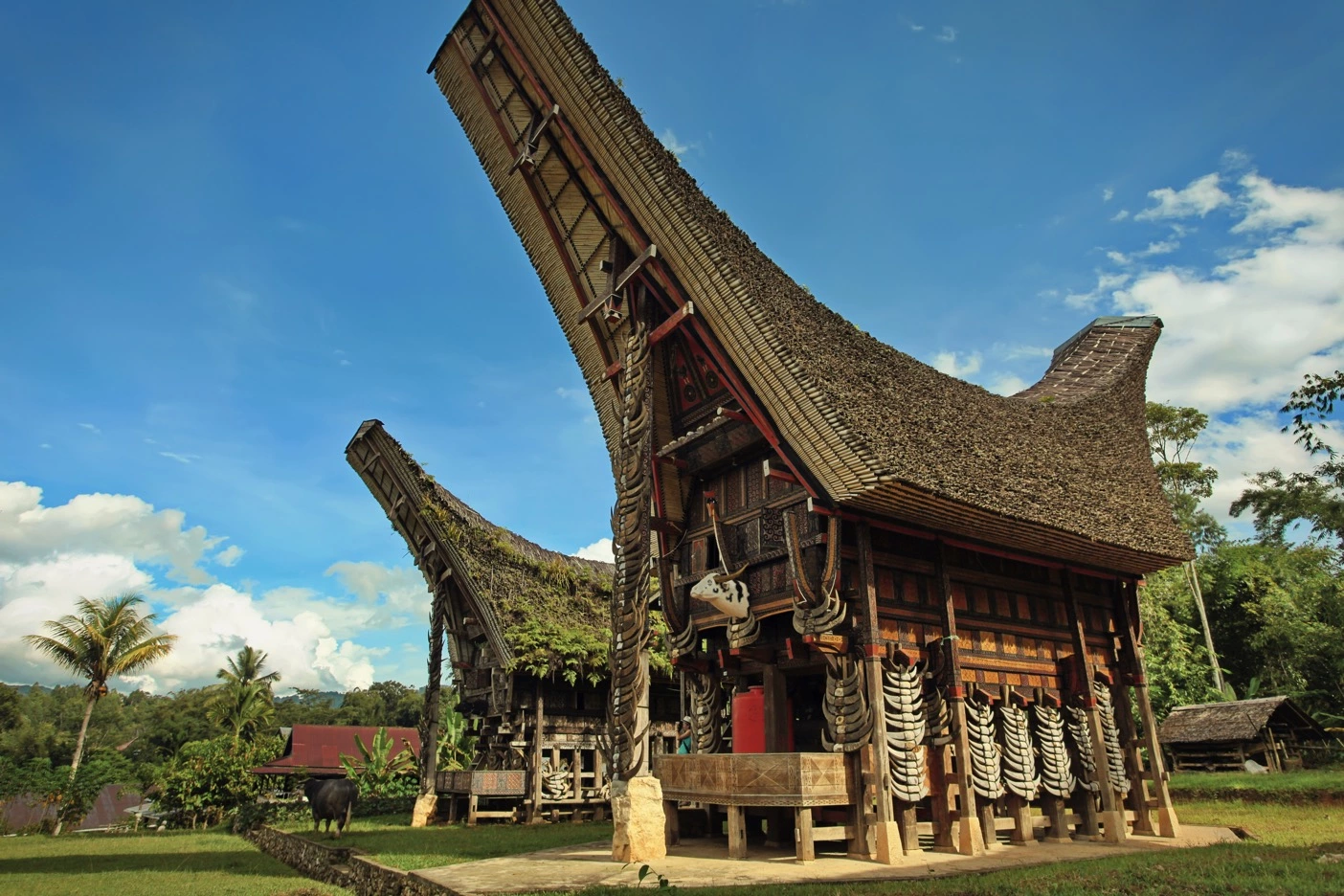 Rumah Adat Suku Toraja, Yuk Mengenal Filosofi, Makna, dan Keunikannya
