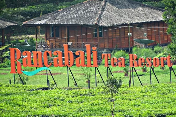 3 Wisata Kebun Teh Terdekat dari Jakarta | Cari Tahu Manfaatnya di Sini!