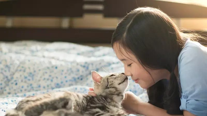 10 Cara Melatih Kucing untuk Memahami Perintah dengan Baik | Gunakan Reward!