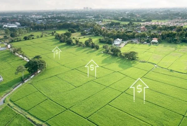 manfaatkan-lahan-kosong-untuk-bisnis