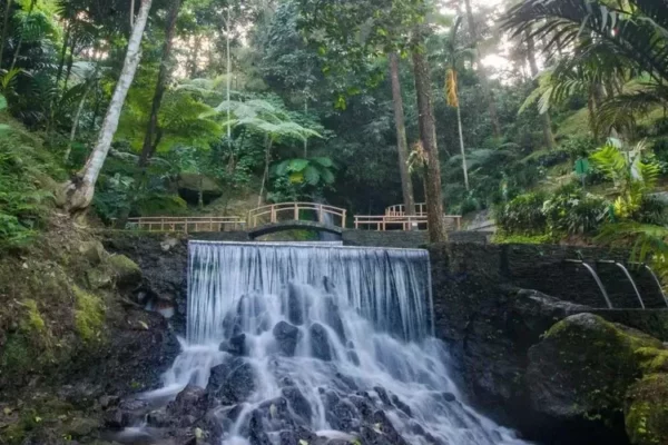 5 Daftar Curug Majalengka, Pesonanya Memikat Hati!