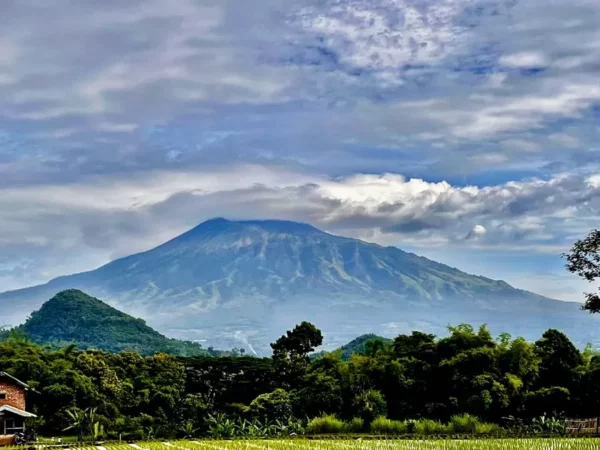 Serba-Serbi Gunung Arjuno, dari Sejarah, Misteri, dan Keindahannya