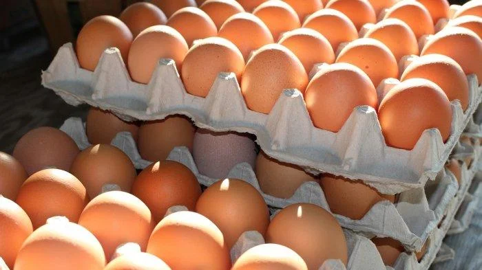 Menguak Arti Mimpi Melihat Telur yang Sangat Banyak, Benarkah Tanda Kesuksesan?