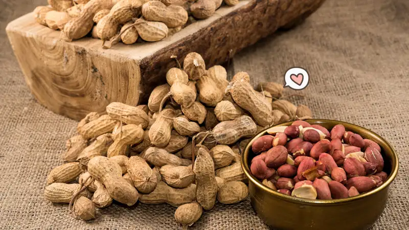 6 Manfaat Kacang Rebus untuk Kesehatan | Bisa Gugurkan Berbagai Macam Penyakit