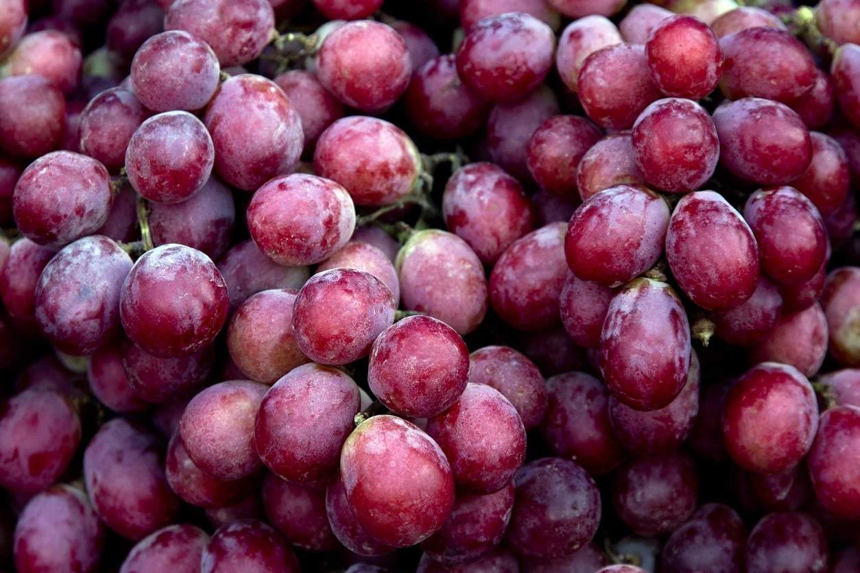 7 Manfaat Buah Anggur Merah untuk Kesehatan yang Harus Kamu Ketahui