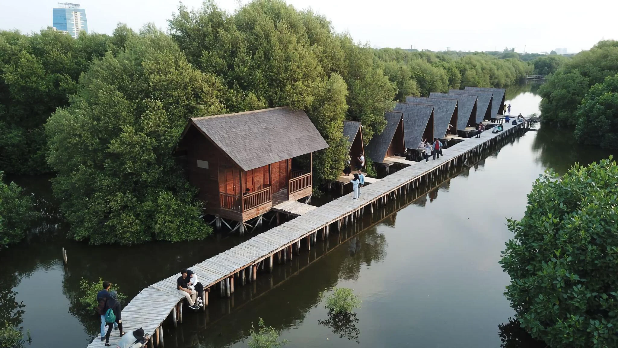 Mengenal Kawasan Ekowisata Hutan Mangrove Jakarta: Lokasi, Harga Tiket, dan Jam Operasional