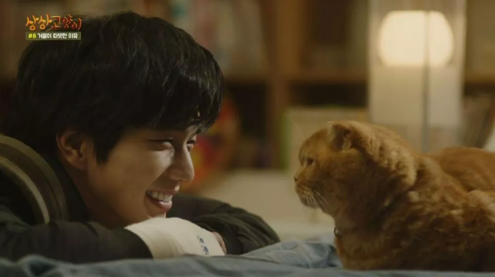 5 Rekomendasi Drakor Lucu Tentang Hewan, Ada Drama A Good Day to Be a Dog!