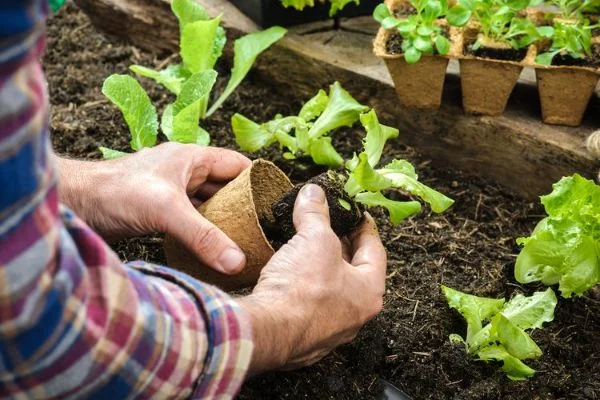 8 Trik Mudah untuk Berkebun di Lahan Sempit Apartemen | Yuk, Coba Lakukan!